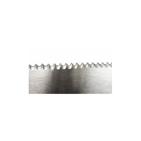 DISCO 2 DENTI DENTATO 255X1.4