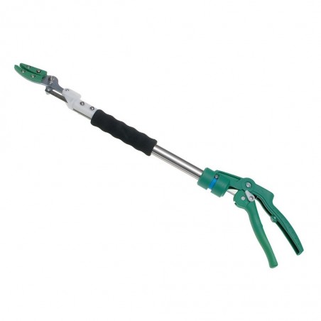 Forbice raccolta asparagi e frutta 60cm