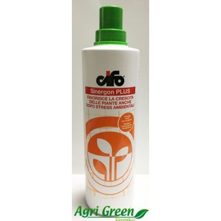 SINERGON PLUS LT 1
