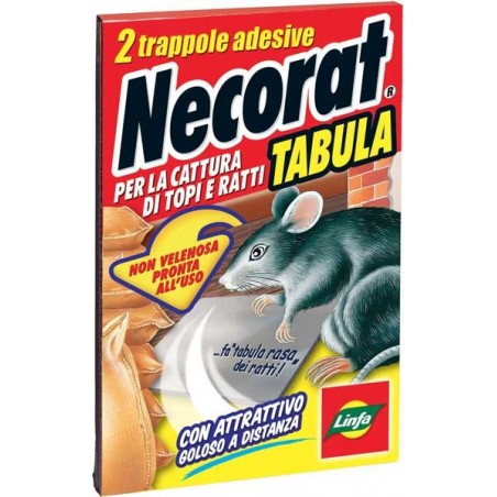 Necorat Tabula