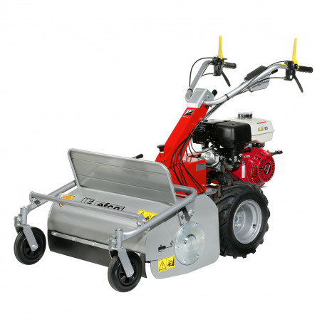 Trinciasarmenti DR65 HR11 GX340 Honda