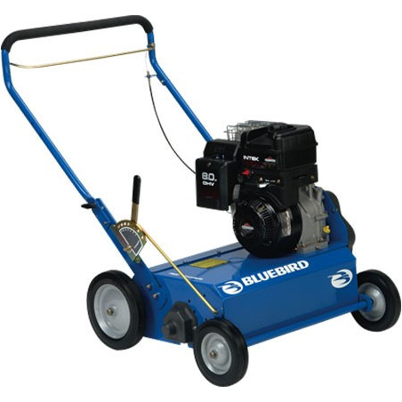 ARIEGGIATORE BLUE BIRD