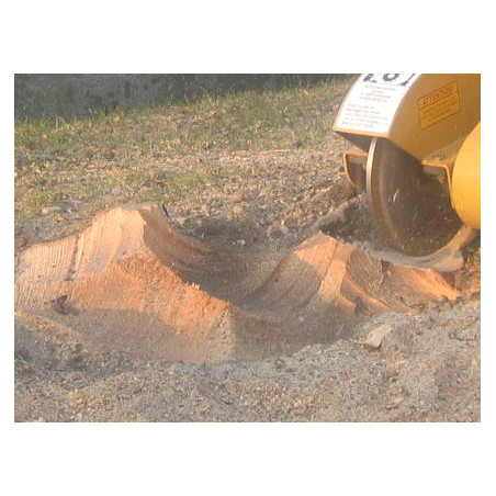 FRESACEPPI RAYCO RG-13