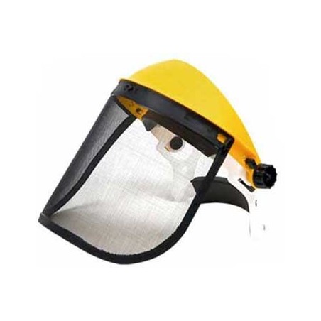 VISIERA PROFESSIONALE IN RETE