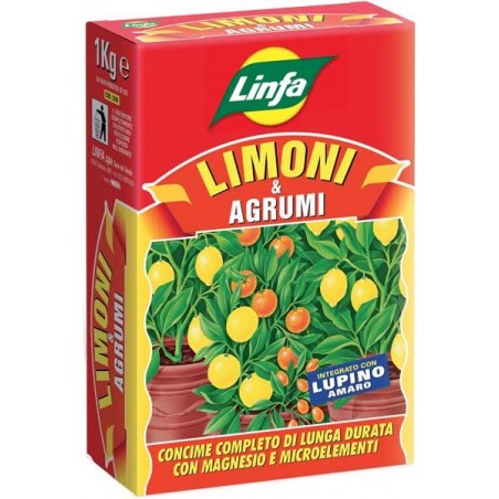 LIMONI E AGRUMI KG 1