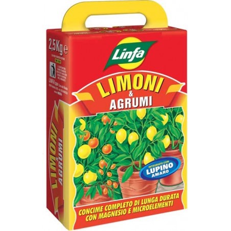 LIMONI E AGRUMI KG 2.5