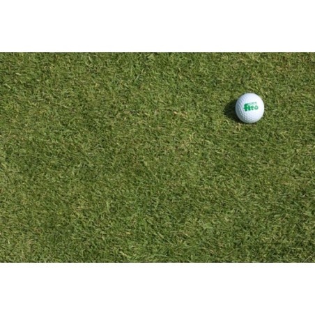 Gramigna Gobi 1Kg fitò CYNODON DACTYLON