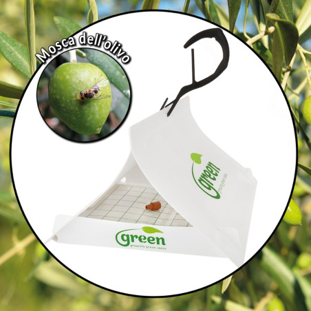 Trappola Green Trap Mosca dell'olivo kit H&G Dacus Oleale 1+1+1