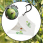 Trappola Green Trap Mosca dell'olivo kit H&G Dacus Oleale 1+1+1