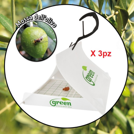 Trappola Green Trap Mosca dell'olivo kit H&G Dacus Oleale 3+3+3
