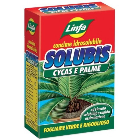 Solubis Cycas e Palme Gr 500