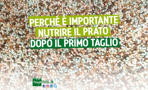 Perché è importante nutrire il prato dopo il primo taglio ?!